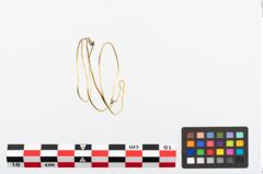 Foto von Goldspiralarmring (NHMW-PRAE-024112)